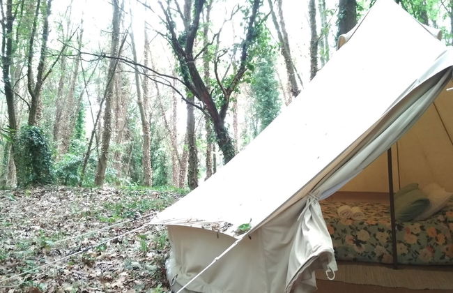 Associação Quinta das Relvas - Foto 2