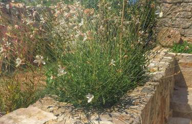 Holiday Apartment - Foto 23