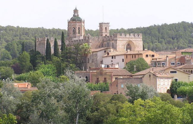 Rural Horizons - Foto 29