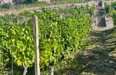 Ferienhaus Traminer im Weinberg - Foto 2