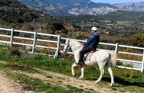 Ermis Katafigio - Photo 24