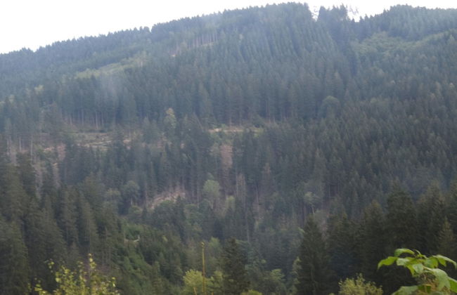 Charmantes Refugium, Harz - Foto 26