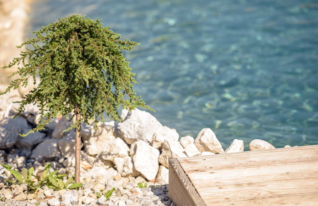 Grimmingblickhütte - Foto 37