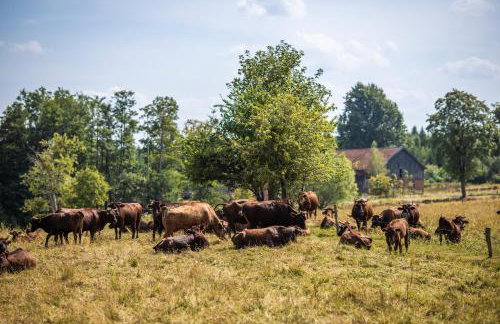 Żywkowo Bocianie Gospodarstwo Rolne - Foto 32