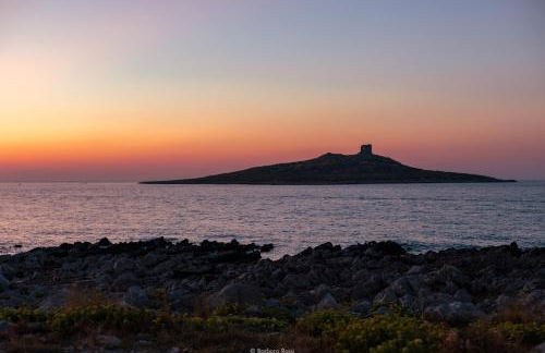 Cavalluccio Marino Holiday - Foto 37