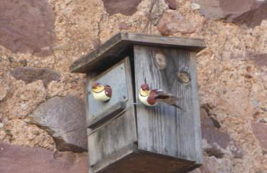 Beni Qásim 1915 - Photo 5