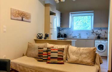 MARY'S HOUSE Roof Garden HUB - Photo 22