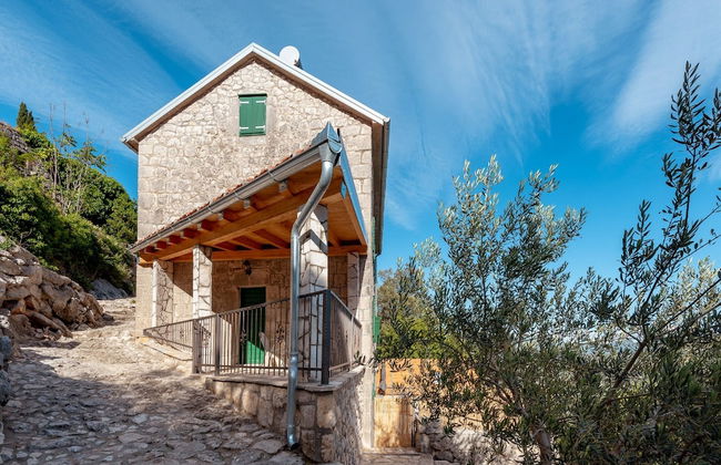 Villa Lazini Dvori - Foto 47