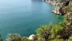 appartamento Oleandro - Foto 5