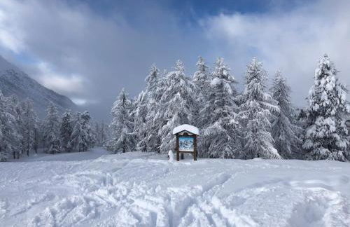 Perla delle Alpi - Photo 32