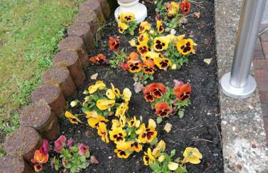 CrisAnd Wald &Terrasse - Foto 12