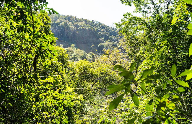 Casa de campo Los Yungas - Photo 51