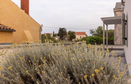 Villa Ancora- Apartman Sabina - Foto 17