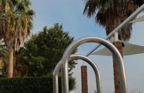 Herdade da Diabroria - Foto 36