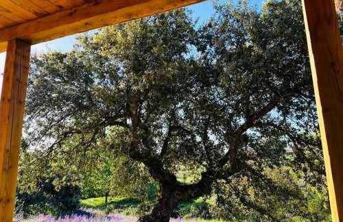 Hamlet's Friends - Foto 13