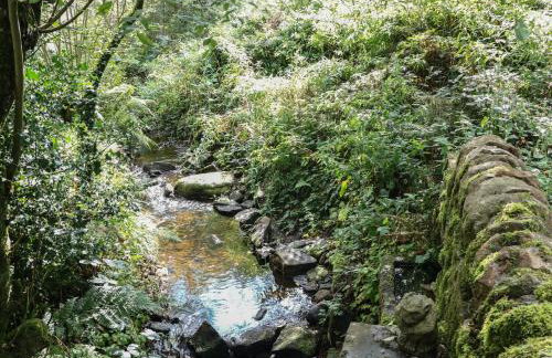 Brook Cottage - Photo 22