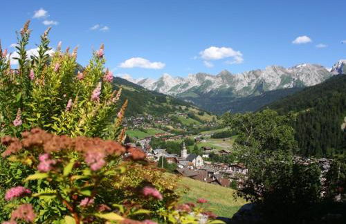 Studio pour 3 avec balcon et animaux admis, proche pistes - FR-1-467-72 - Foto 2