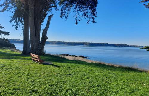 Le Bernique - A 50 mètres de la plage - Foto 16
