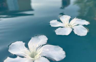 MAS Sun villa famille en campagne - Foto 1