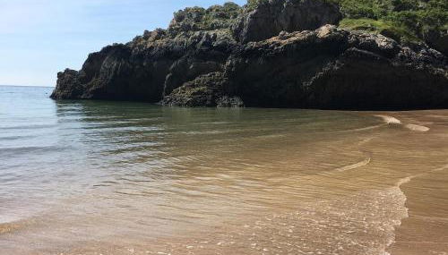 Renovated Barn with Pond View - Photo 5