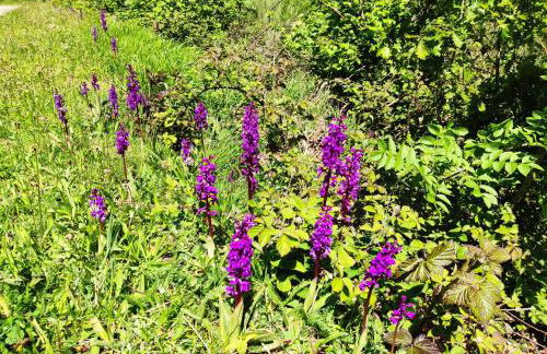 Casa Turismo Rural O FILANDÓN - Photo 63