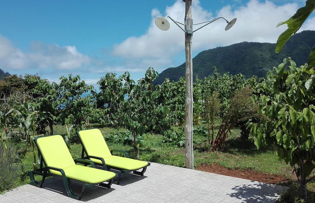 Grannys Farm - Foto 46