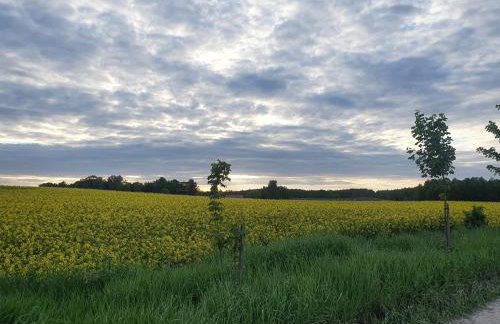 Fuledzki Biały Domek - Mazury, Jacuzzi, Sauna, Giżycko - Foto 50