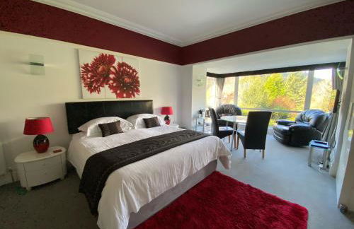 Tyn Y Fron 6 bedroom house in Betws-y-Coed Snowdonia - Foto 19