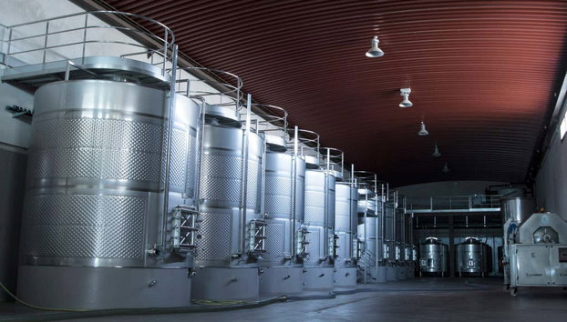 Visita a las bodegas Tierras de Cebreros - Photo 5