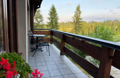 Apartament Chowańcówka z widokiem na góry typu studio obok stoków narciarskich i blisko basenów termalnych - Foto 35