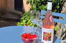 Little Plas - Foto 28