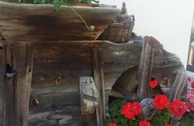 Schwarzplatterhof - Foto 44