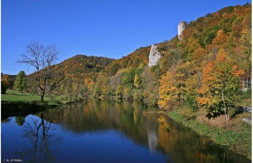 Haus am Waldrand - Foto 45