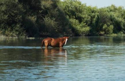 Villa Rio by Valada Village - Foto 72