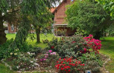 Gutshof Kämmerich - Fewo Storchennest - Foto 14