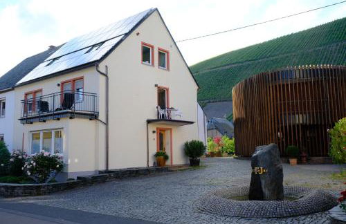 Ferienwohnungen Weingut und Vinothek Regnery - Photo 6