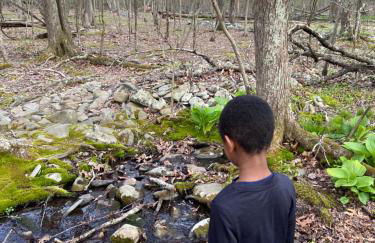 Saw Creek Cabin - Regent Hilltop - Foto 55