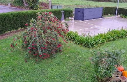 APARTAMENTOS VALLE DE IROLA - Foto 20