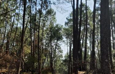 Gîte des Bartavelles - Foto 30