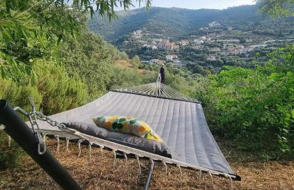 Barbara tra gli Ulivi - Foto 41