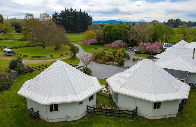 Silverstream Alpaca Farmstay and Tour - Foto 57