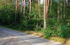 Osada California - Foto 66