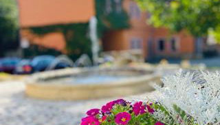 Naturnah bei Weimar - Foto 2