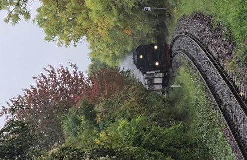 Ferienhof Meisdorf - Brückenwohnung - Foto 9