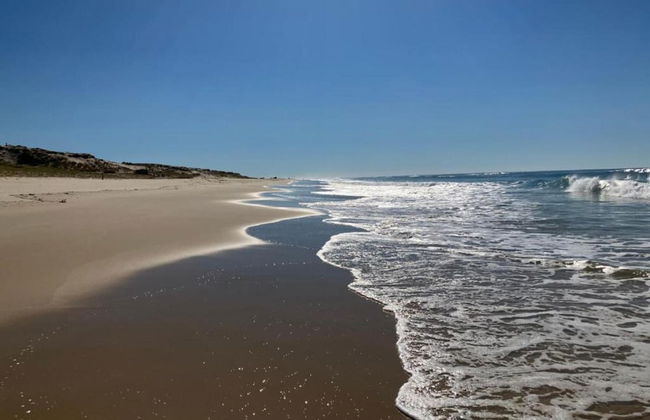 Apartment in Biscarrosse by the Beach - Foto 29