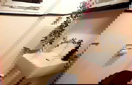 Spectacular Swiss Experience - Foto 20