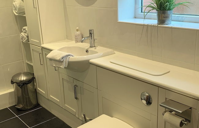 Come & Stay on a Real Norfolk Vineyard - Foto 13