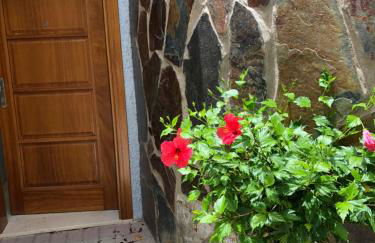 Suecia Villa Opal Anfi Tauro - Foto 42