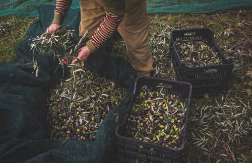 Agriturismo Bellofatto - Foto 30