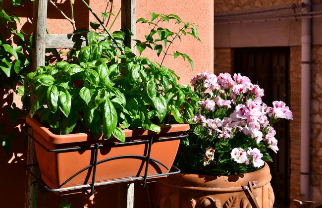 Casa Cifali - Foto 44